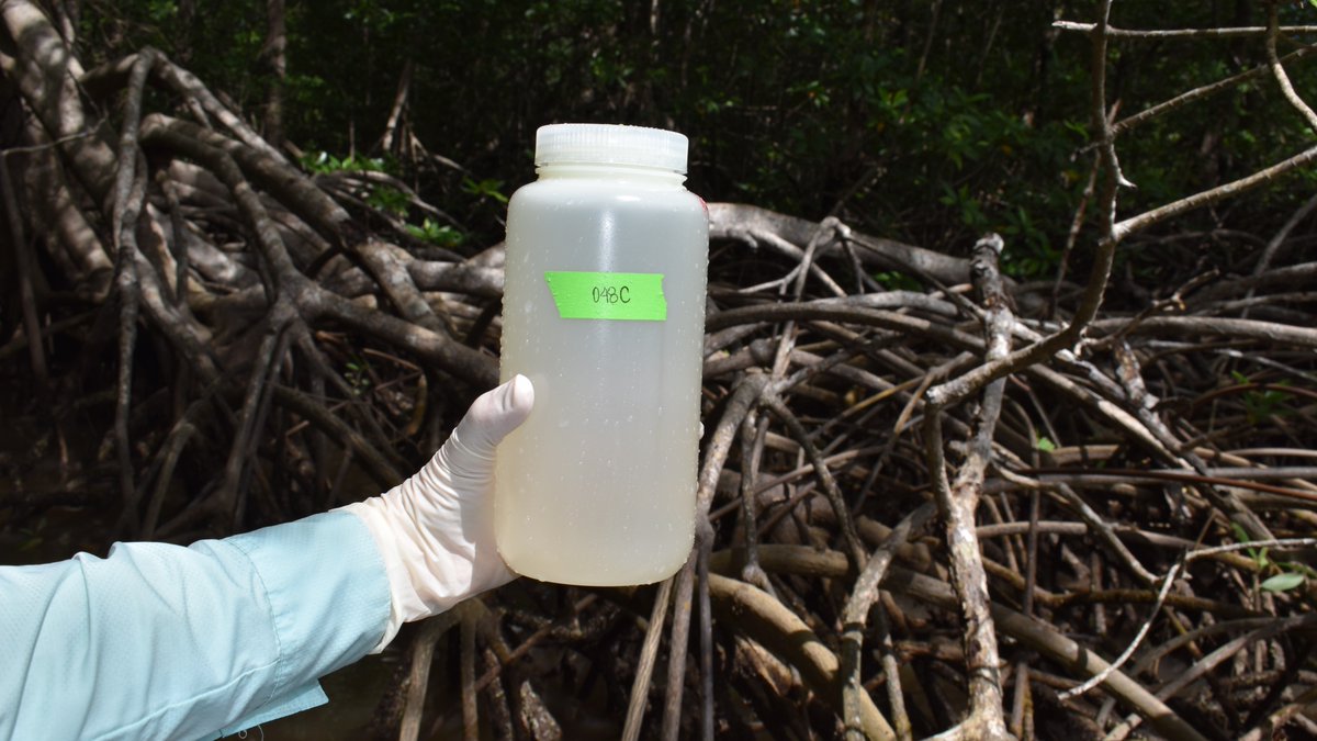 Phillips Lab @ USM tweet media