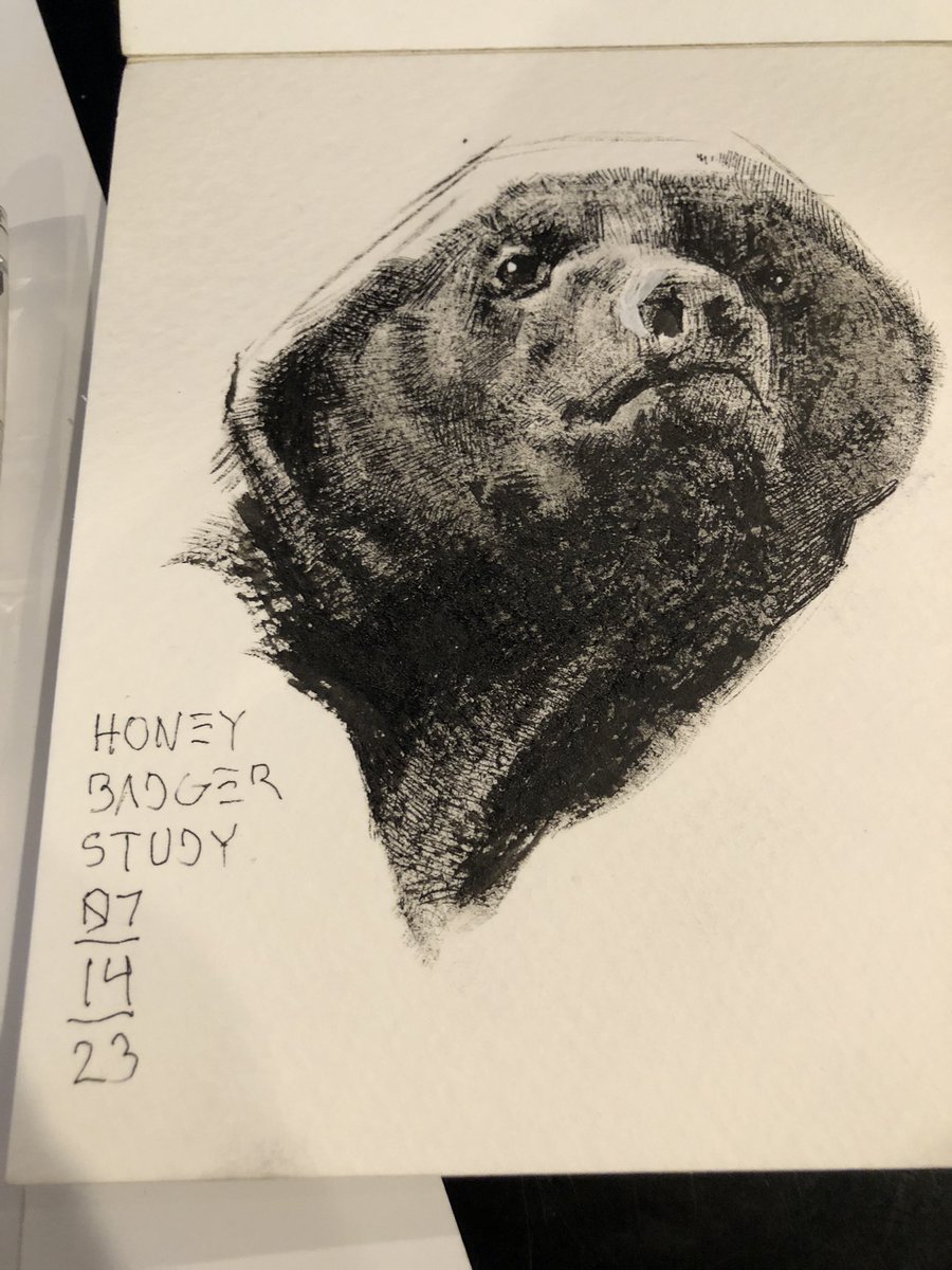 #daily #sketch no. 7 #badger #animals