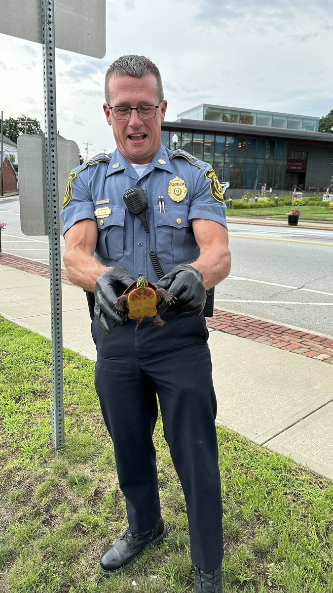 Webster Police Mass tweet media