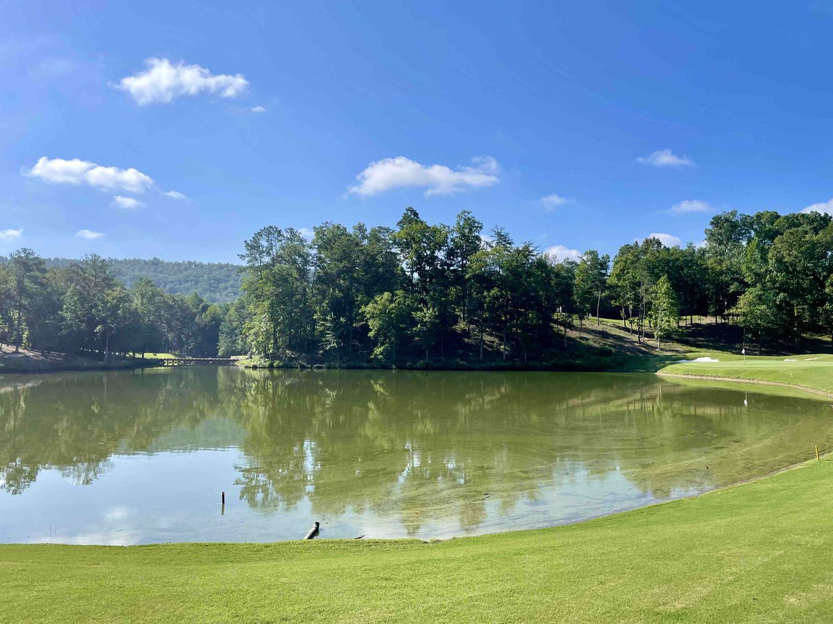 GolfchaseTB's tweet image. Kudos to the Superintendent and their team @greystonegcc  - The course conditioning was spectacular! The Legacy course is a beautiful tree lined layout in the hills surrounding Birmingham Alabama.  #superintendent #thelegacycourse #greystone