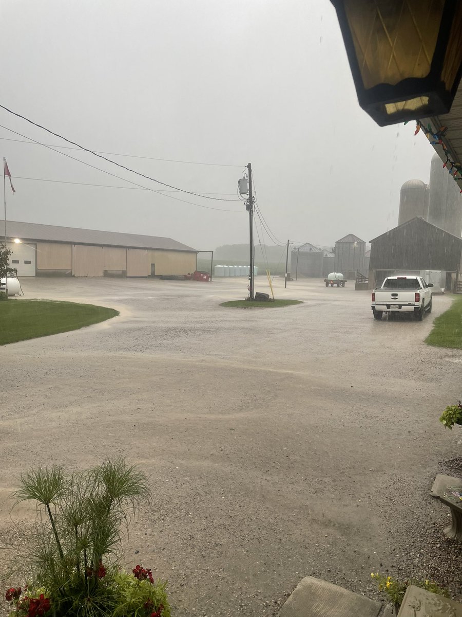 nelson mclachlan tweet media