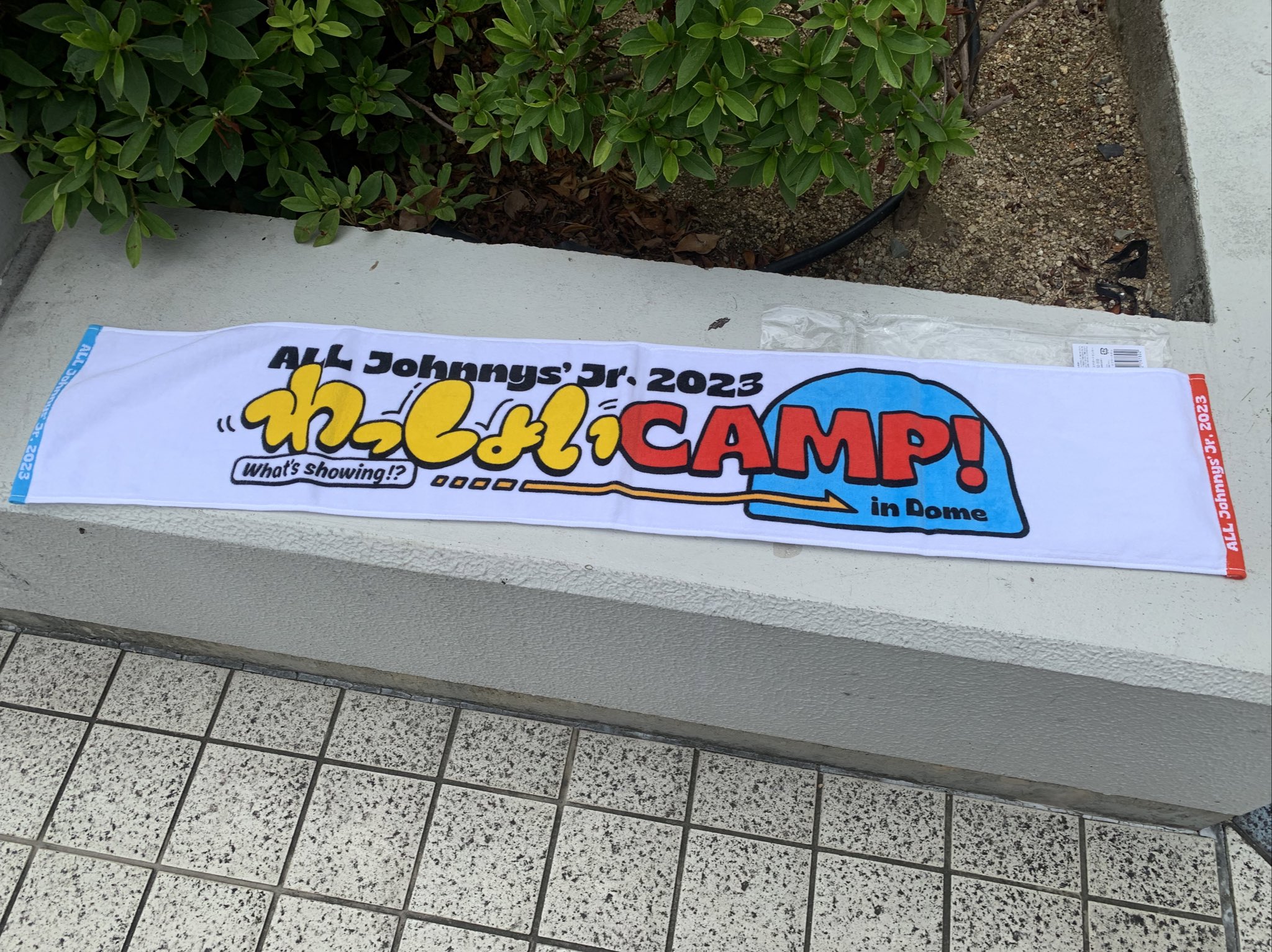 わっしょいcamp グッズなど バラ売り可】わっしょいcamp グッズの通販 by まめ｜ラクマ