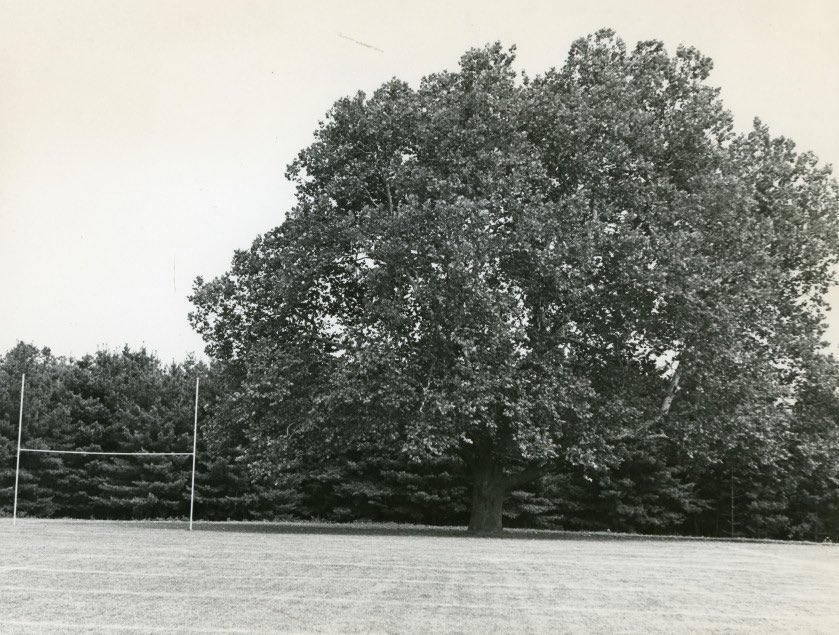 Football should take a note from baseball and allow ground rules.  

Hell, Ursinus College had the Touchdown Tree IN one of their end zones.