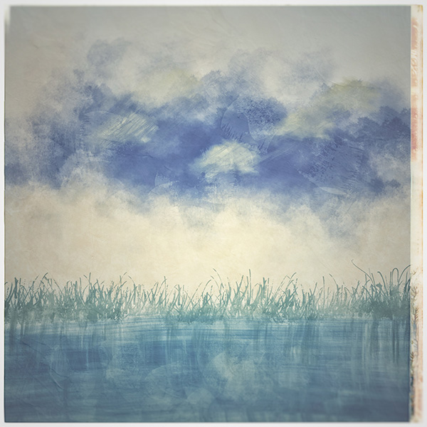 _ccammons's tweet photo. A seeming infinity pool of grass and sky. Minted on Polygon today.

See it on OpenSea!    #NFT #NFTsOfTwitter #collection #polygon #matic #nature #Article370 

https://t.co/kF9bQZbEsd https://t.co/sw5WQmxpQy