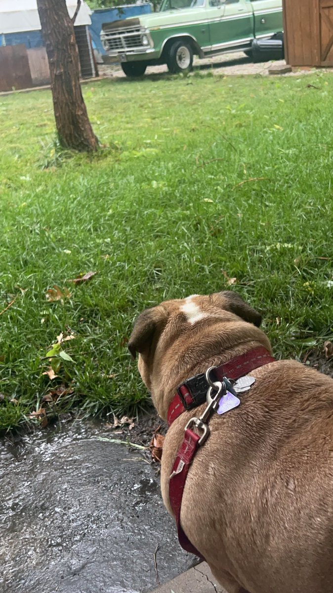 After the biggest storm of his life so far, just me and my pal Gus hanging out waiting for the power to come back. https://t.co/NeJbNpCA8N