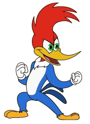 BCVerrelli tweet media