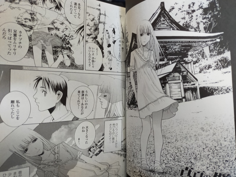 夏になると思い出すのが古い単行本「妹の甘い囁き」に収録されている「真夏の檻」前中後編だ。夏に帰省した主人公と幼馴染姉妹。子供の頃に起きた事故を軸にした幽霊話。幽霊はでるけど怖い話ではない。ただ前編中編と描いた後、急に「実は幽霊だった人物」を変えようと思った当時の自分が怖い。 