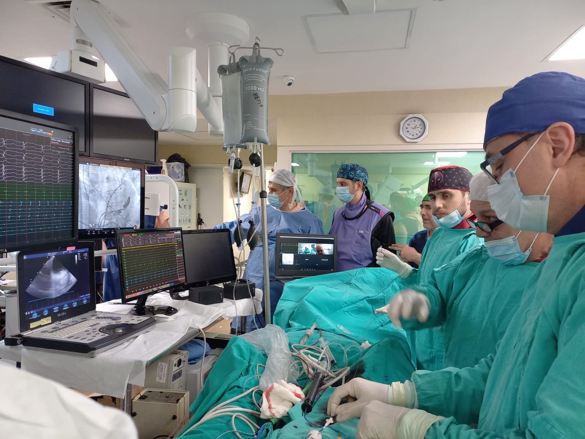 Lopez Cabanillas Nestor (@nlcabanillas) on Twitter photo As EP Head at Adventist Cardiovas Institute I´m proud of having done the 1st Mitral dependent flutter in Argentina using Carto3 7.2 w/Vein of Marshall alcoholization @MiguelVldrbno . Done w/my colleague <a href="/ALFIEEP1/">ALBERTO ALFIE</a> & team proctored remotely from Boston by <a href="/Davilandre/">Andre d’Avila</a> & <a href="/rdangeloMD/">Robert D'Angelo</a> As EP Head at Adventist Cardiovas Institute I´m proud of having done the 1st Mitral dependent flutter in Argentina using Carto3 7.2 w/Vein of Marshall alcoholization @MiguelVldrbno . Done w/my colleague <a href="/ALFIEEP1/">ALBERTO ALFIE</a> & team proctored remotely from Boston by <a href="/Davilandre/">Andre d’Avila</a> & <a href="/rdangeloMD/">Robert D'Angelo</a>