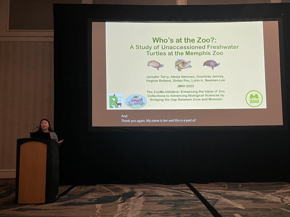 SinlanPoo's tweet photo. Who’s at the Zoo?! @JfromtheMarsh gives a great talk about all the unexpected places you find wild turtles on #zoo grounds and how they can provide valuable data for #ZooResearch! 🐢👩🏻🔬🧪
#JMIH2023 #ZooMu https://t.co/3NpT0uvCJG