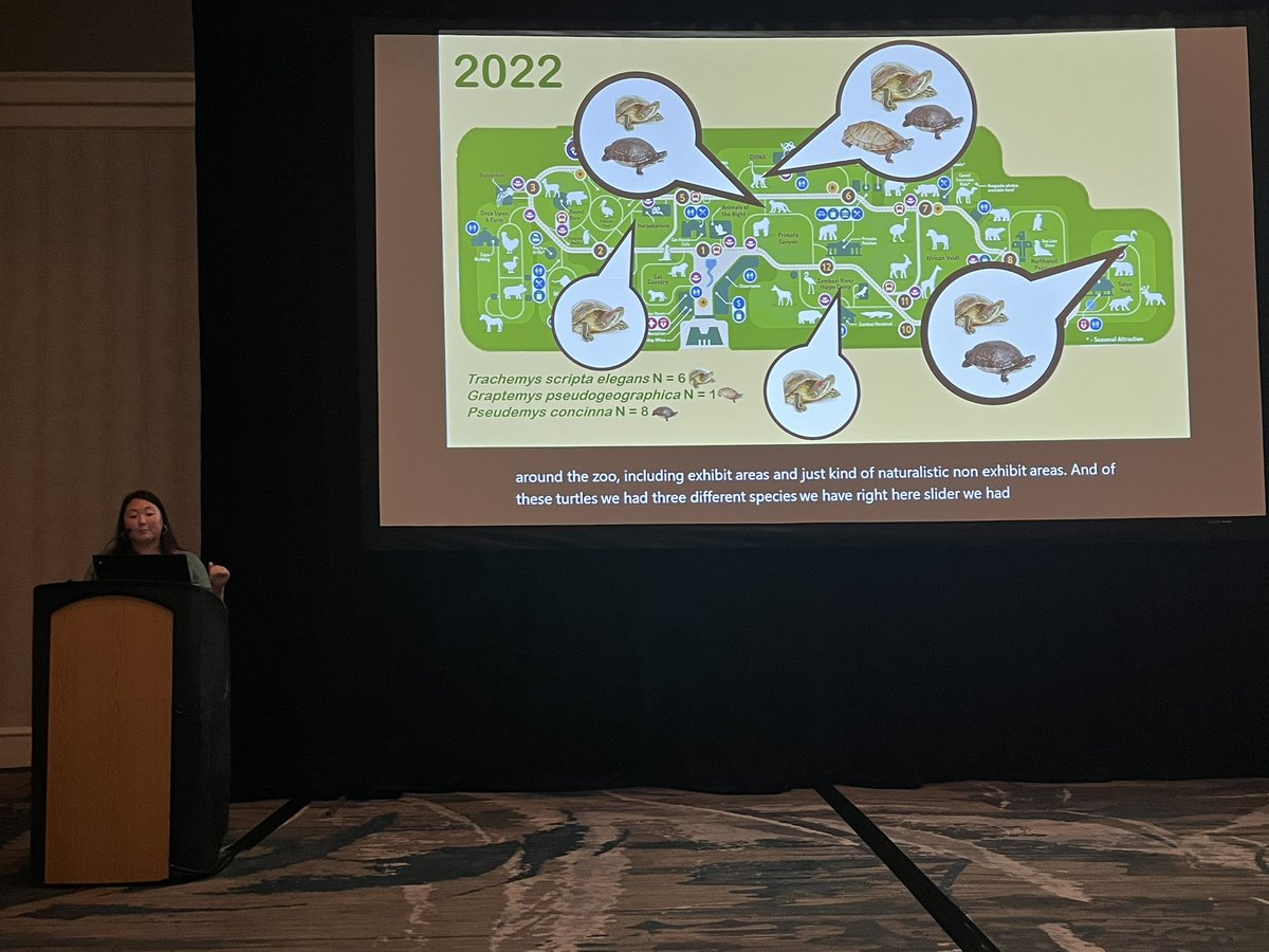SinlanPoo's tweet photo. Who’s at the Zoo?! @JfromtheMarsh gives a great talk about all the unexpected places you find wild turtles on #zoo grounds and how they can provide valuable data for #ZooResearch! 🐢👩🏻🔬🧪
#JMIH2023 #ZooMu https://t.co/3NpT0uvCJG