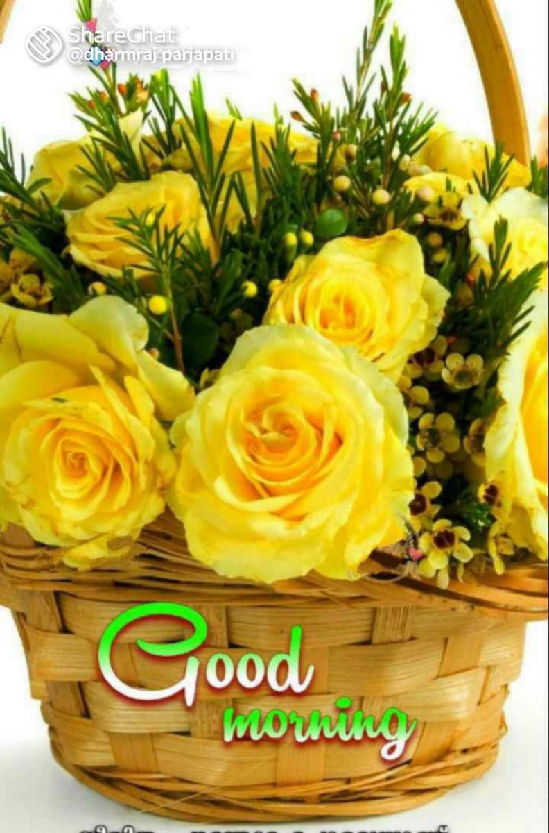 AjitDamle4's tweet photo. @anupriy_01 https://t.co/HSsvq87QcN