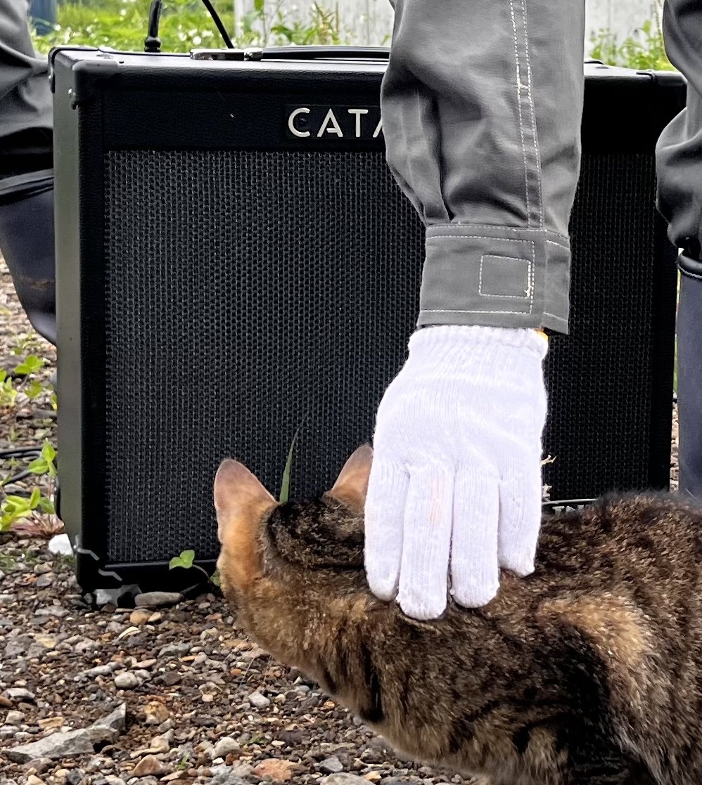 hamburgerboys's tweet image. CATとコラボ次郎
#CAT
#ALYST