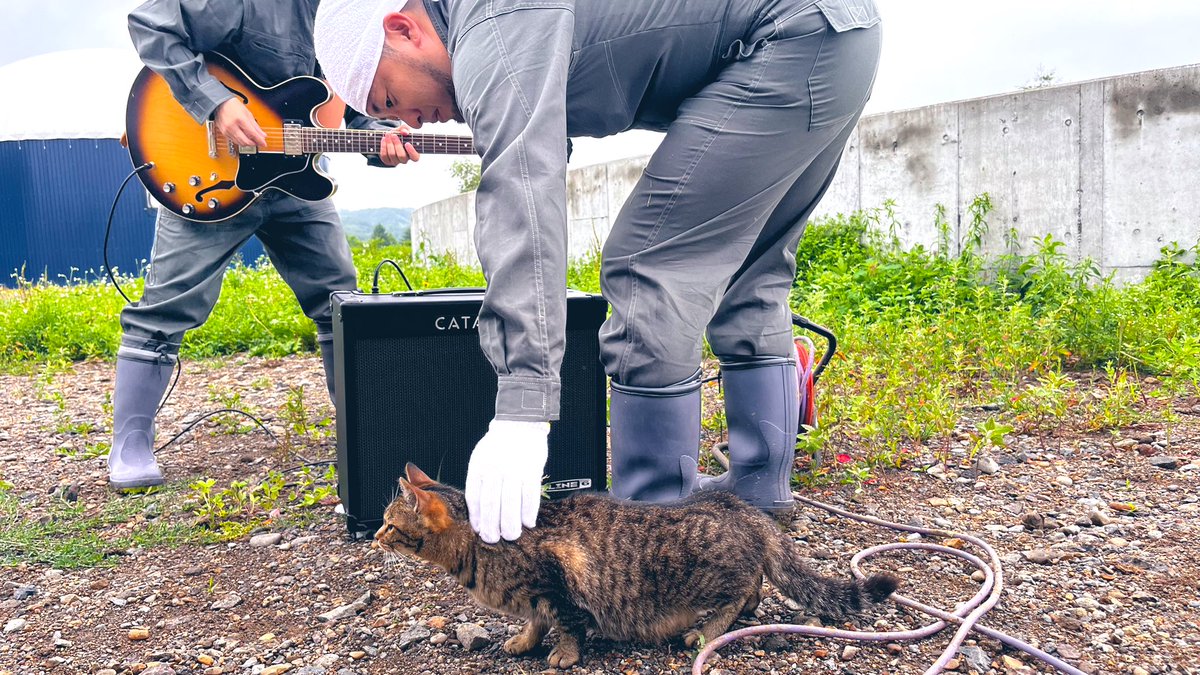 hamburgerboys's tweet image. CATとコラボ次郎
#CAT
#ALYST