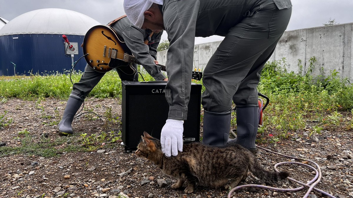 hamburgerboys's tweet image. CATとコラボ次郎
#CAT
#ALYST