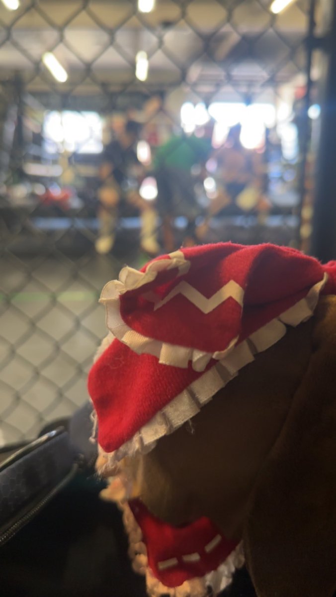 GymWithReimu's tweet image. Reimu at the Muay Thai gym