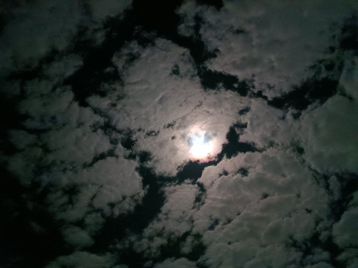 Maicol (@maicol_larroca) on Twitter photo 