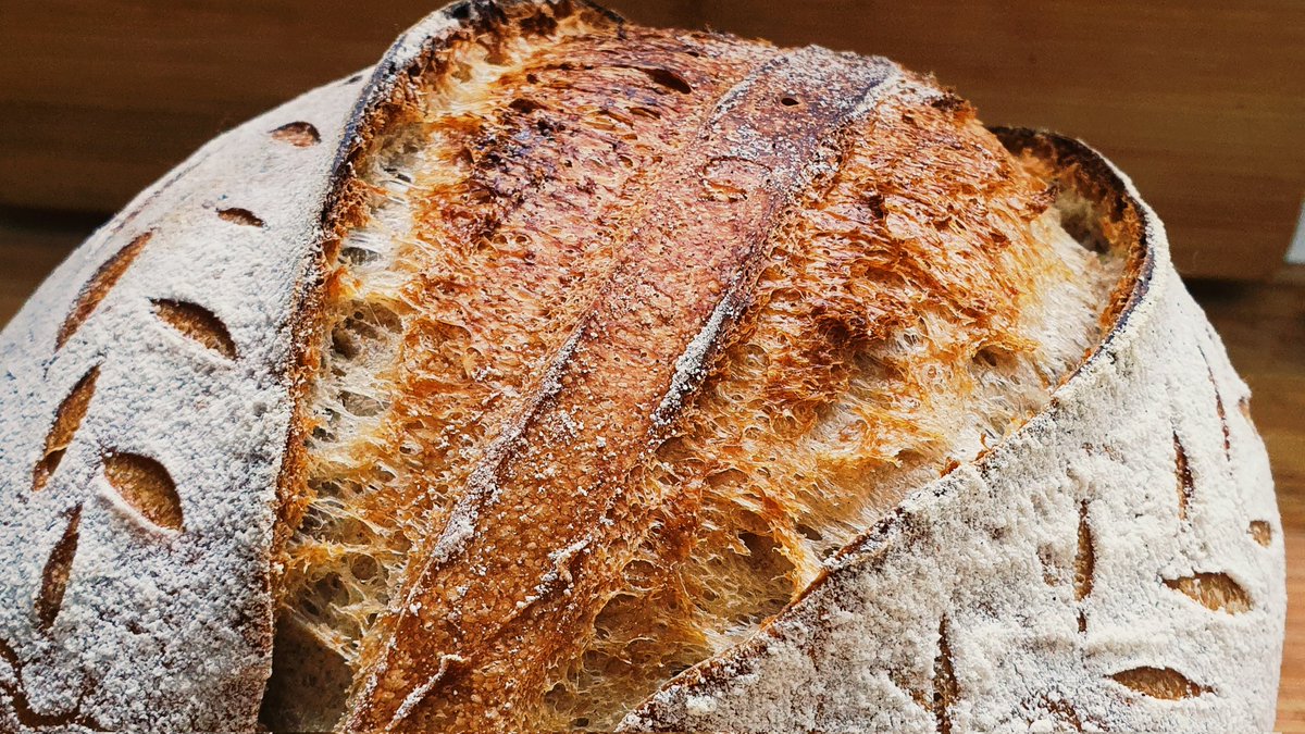 MartinJKnight's tweet photo. It's been a minute. #sourdough https://t.co/TvAToJiaWr