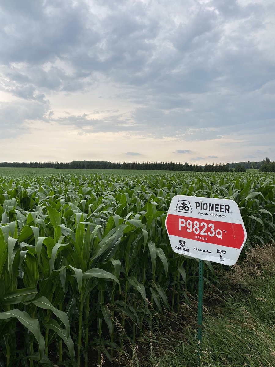 My first sign as a Pioneer Sales Rep. Super excited about this opportunity. Can’t wait to see what the future brings. <a href="/PioneerSeedsCA/">Pioneer Seeds Canada</a>