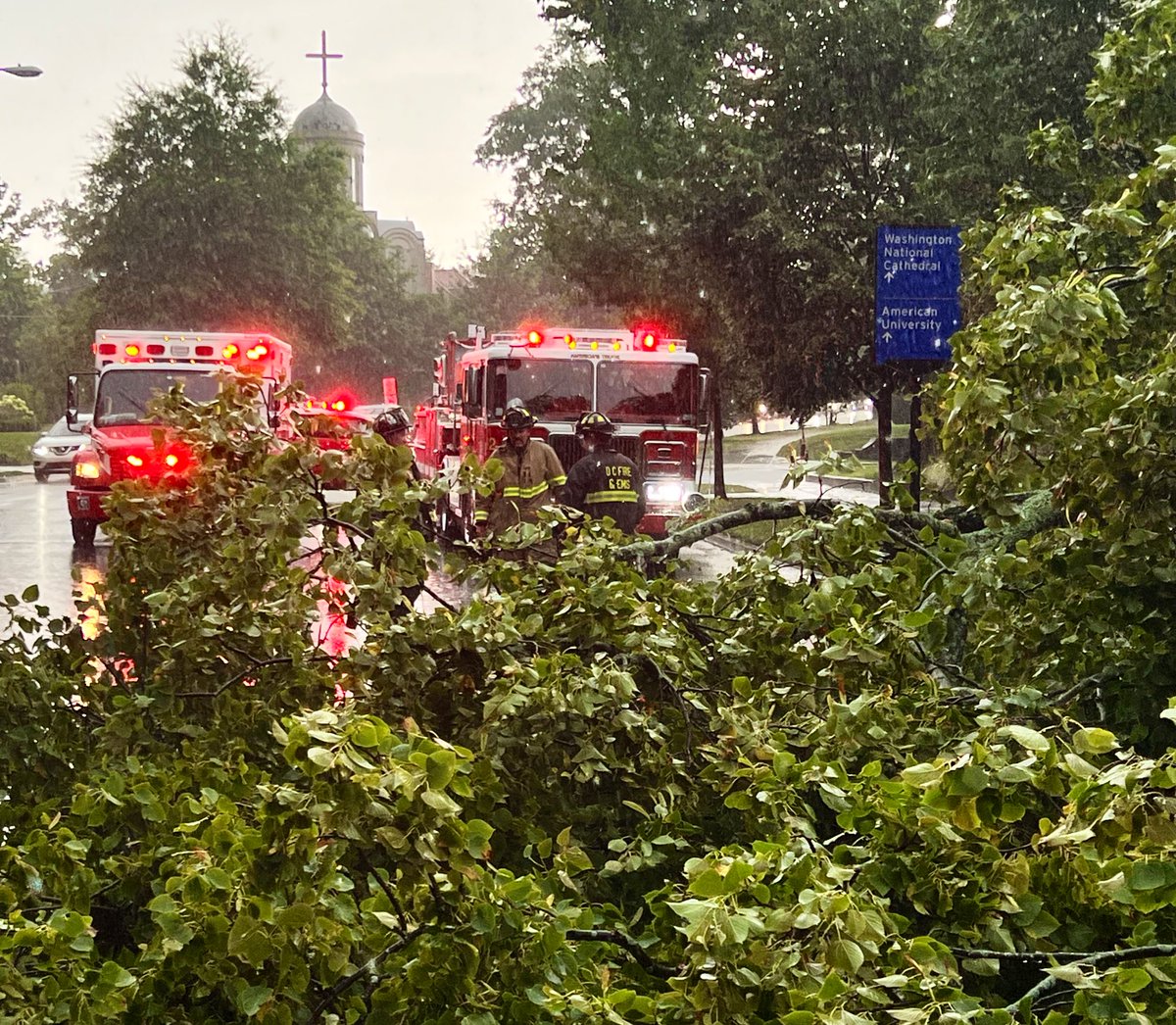dcfireems's tweet photo. DC Fire &amp; EMS operating at tree on car in 3400 block Mass. Ave NW. Occupant is uninjured and being sheltered in an EMS unit. #DCsBravest https://t.co/atK6yoQqlu