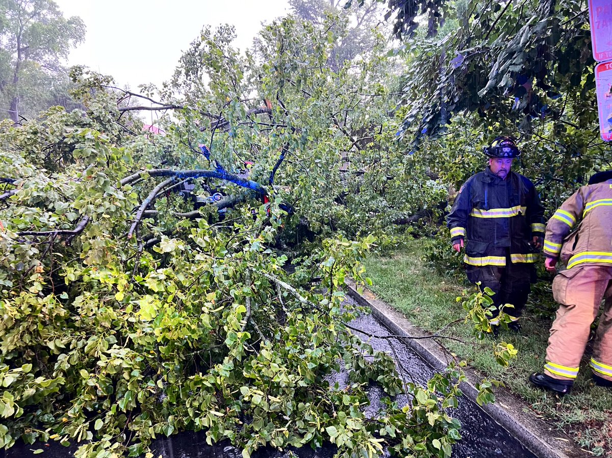 dcfireems's tweet photo. DC Fire &amp; EMS operating at tree on car in 3400 block Mass. Ave NW. Occupant is uninjured and being sheltered in an EMS unit. #DCsBravest https://t.co/atK6yoQqlu