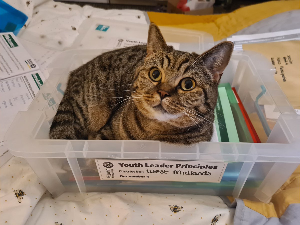 It looks like my oh so helpful assistant Morris would like to come to tomorrow's Youth Leader Principles course 😸