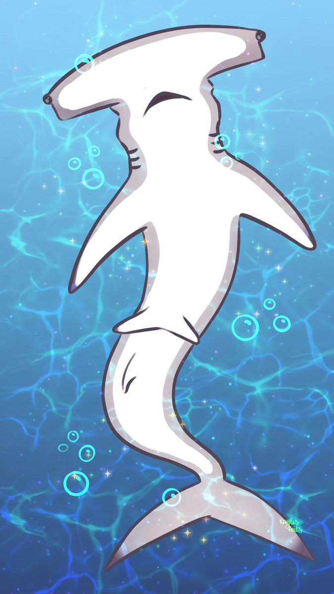 KaylesFails's tweet photo. Happy shark awareness day 🦈🥰 https://t.co/Hr540lWUsD