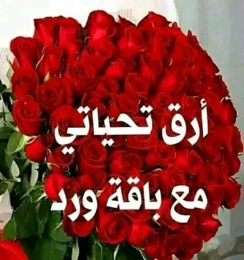aboasmsil's tweet photo. @orced88 https://t.co/TI4fpMD2AT