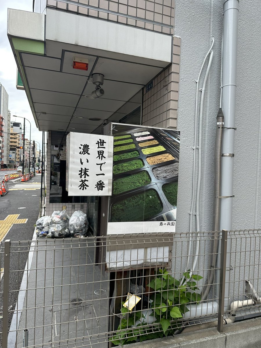 🦌鹿井🦌 tweet media