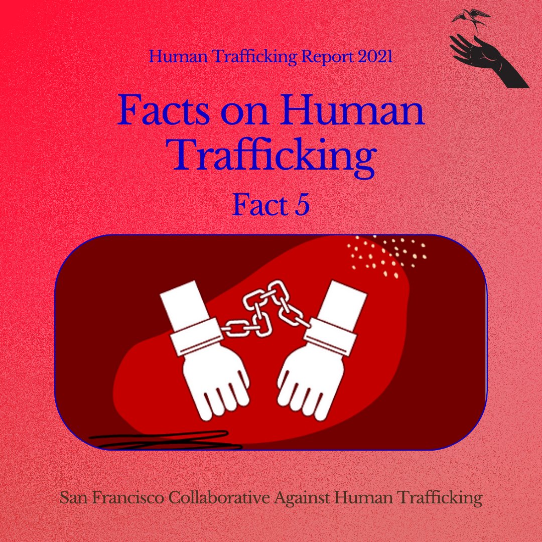 SFCAHT's tweet photo. This is the fifth and final post on our series of facts on human trafficking. We hope you continue to seek information on this pressing issue -- our website https://t.co/FfVxyPcdxc is an excellent place to start! https://t.co/KfaXIYRymo