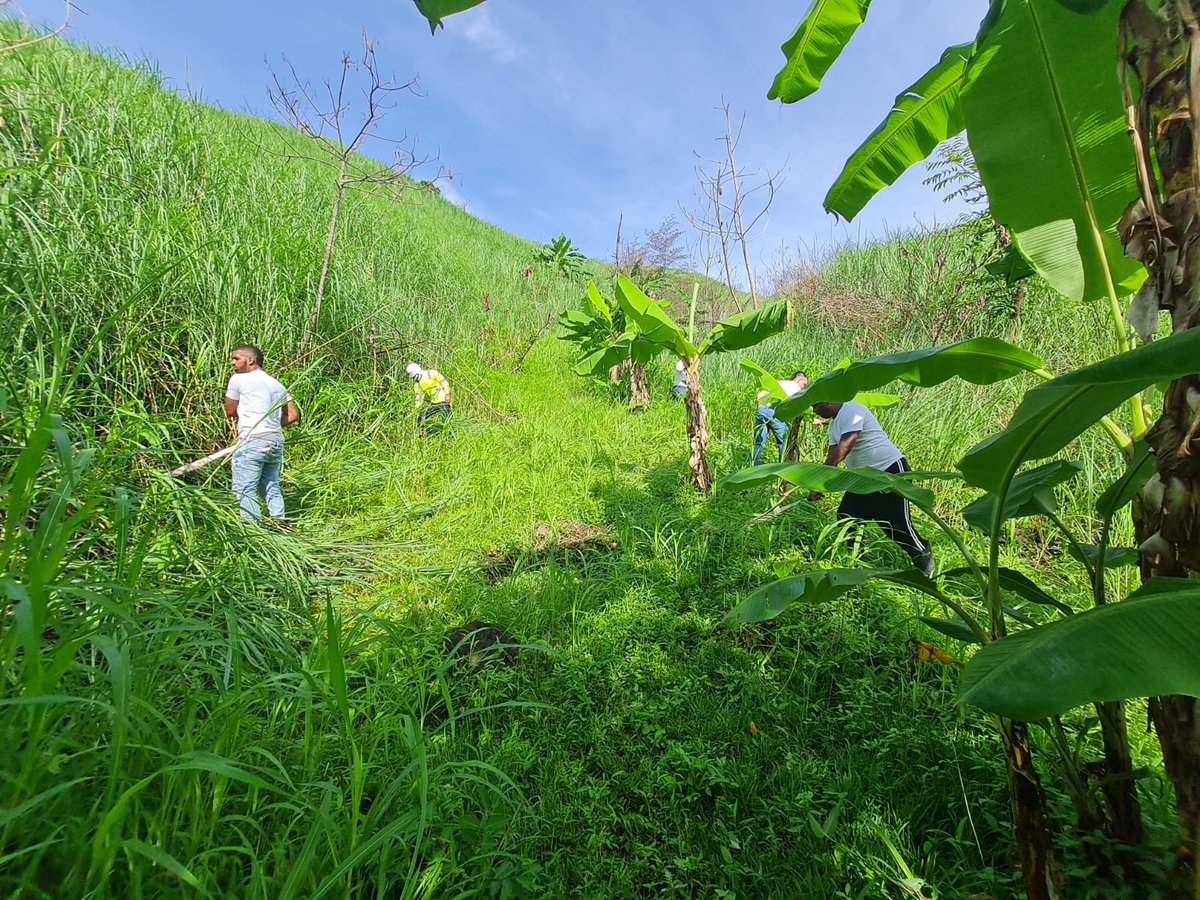 PenitenciarioPA's tweet photo. Privados de libertad del centro de detención Tinajitas colaboran con labor de limpieza en Cerro la Cruz, San Miguelito, con @Opava_osfl para reforestar el lugar, aporte significativo para la recuperación de bosques en el país y tener un ambiente sano. 

#TrabajandoPorPanamá🇵🇦 https://t.co/Hw8SdsWezn