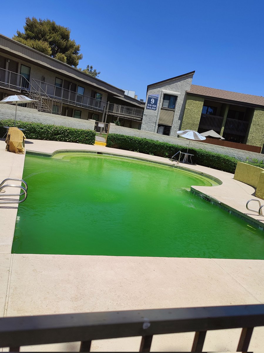 palephoenix's tweet photo. It is currently +112°, and the hottest summer on record in our civilization.
This is the pool. 🥵🤮
#FML #algalbloom #piscina #probablyillegal #letsdrinkbleach #Phoenix https://t.co/8kzqUTiP3F