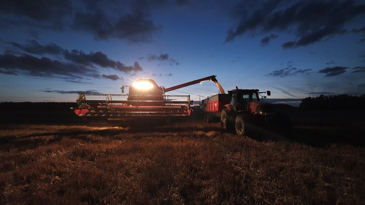 agri_zoom's tweet image. Les blés 🌾sont finis ! #FrAgriMoisson2023

↪️ Une bonne chose de faite... maintenant, place aux vacances ! 

Bilan : 📉 Résultats décevants par rapport aux autres années. Pas pressée de faire les moyennes !

ps : les vacances, c&apos;était une blague, il reste un peu de travail 😅