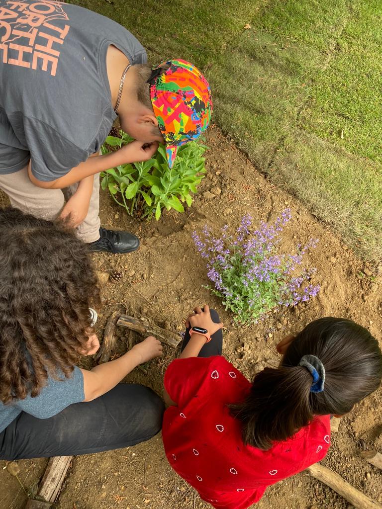 ThatsElementary's tweet photo. #learning about what #bees #see &amp; how they #make  #buzzing #sound🐝#planting #flowers to attract #pollinators to our #communitygarden 🌻see us #buzz #like bees! ➡️🎞️ https://t.co/yudvxfWiwD

#Outdoorplay #outdoors #community #environment #animalhabitat #conservation #gardening https://t.co/bOD7DpAPMb
