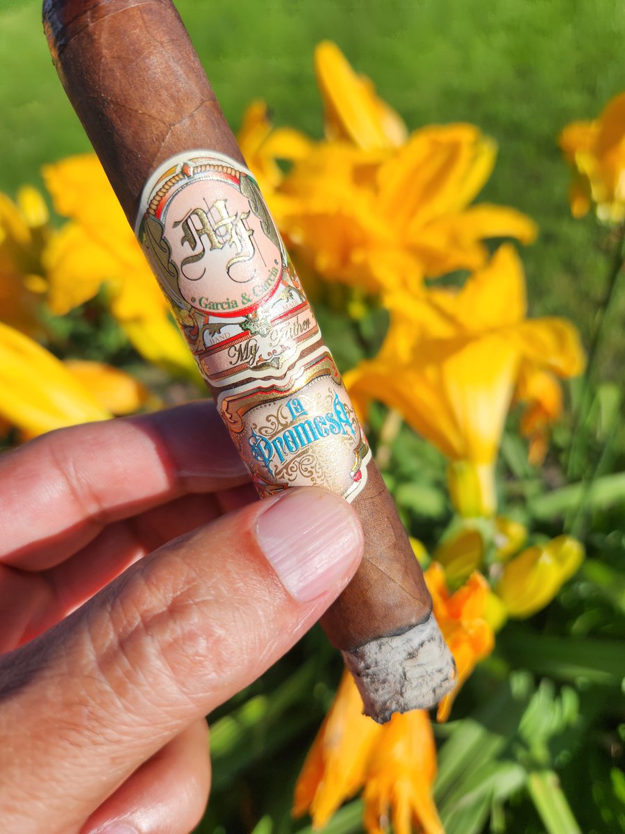 BrakeCarey's tweet photo. Friday nite smoke! Enjoy the weekend! https://t.co/wHFJGuswOB