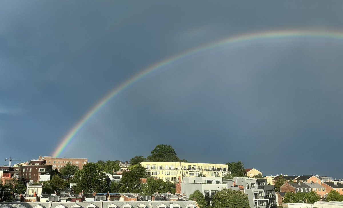 After the storm. . .