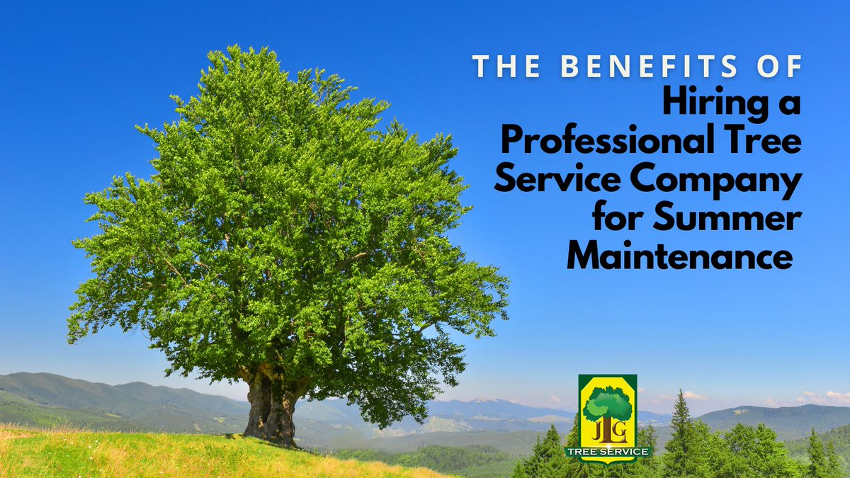 JlgTreeService's tweet photo. Beat the heat with expert care. Why you should hire a professional tree service company for summer maintenance.

Read here: https://t.co/9HYSq1sZhb

#JLGTreeService #TreeRemovalAnaheim #TreeServiceAnaheim https://t.co/wa4OrwHWnI