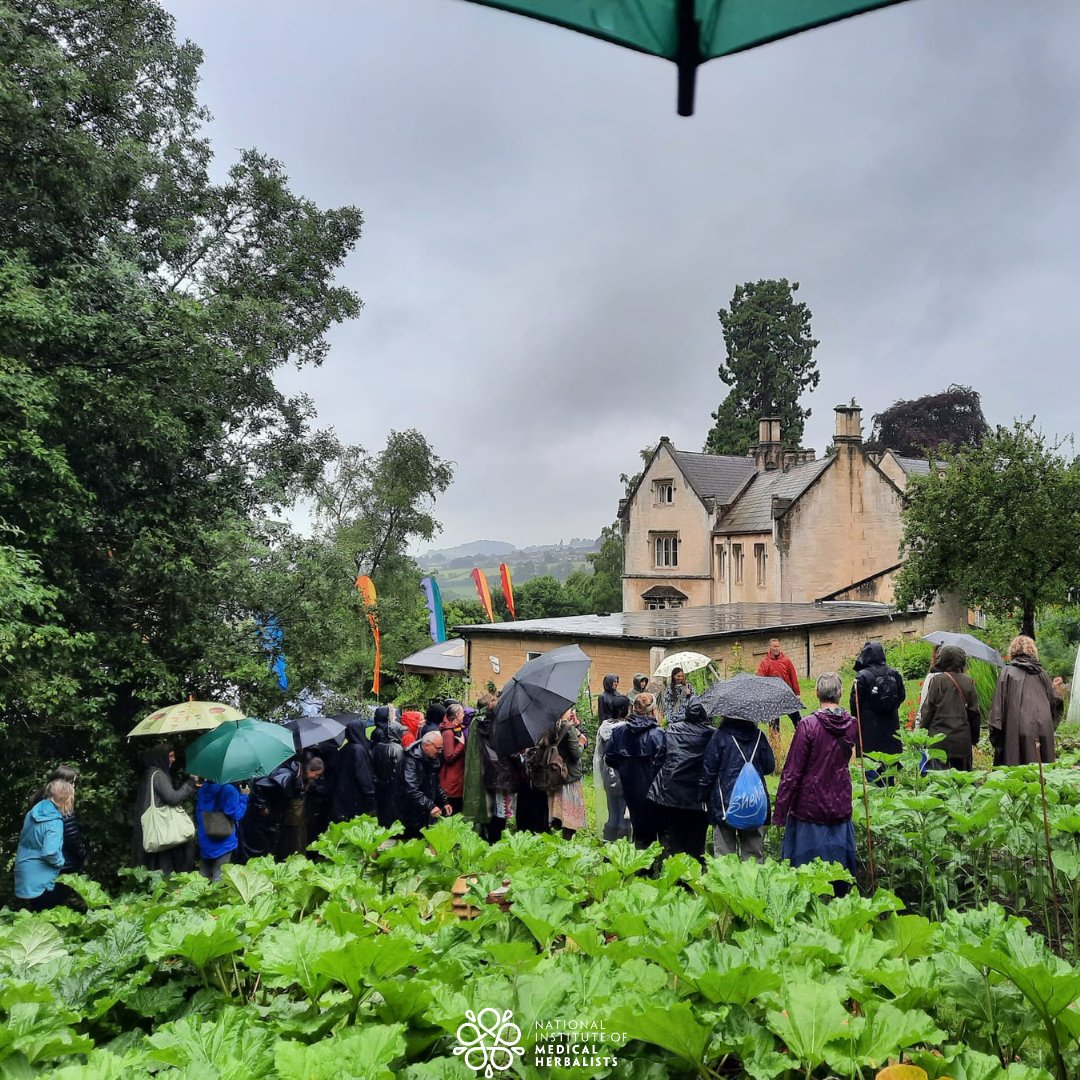 MedHerbalists's tweet photo. What an amazing start to the first full day of our #festival! 🙌 

From #mushroom tinctures to a wonderful talk 'Where the #Wildflowers Grow' by @leifbersweden! 🌼

There's lots more to come and we'll be sharing more highlights with you all very soon...

#Powerofplants 
#Pop2023 https://t.co/9WrTWT1Dra