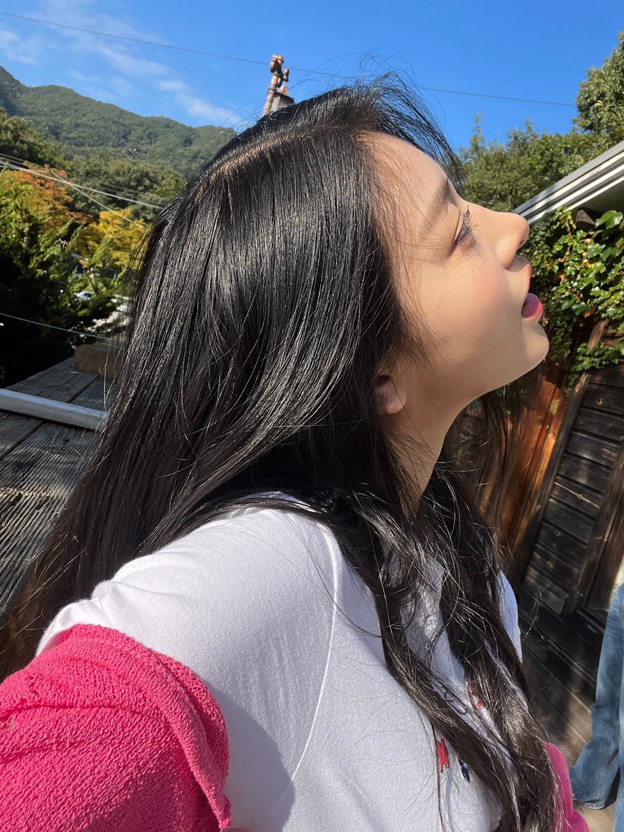 aran pics tweet media