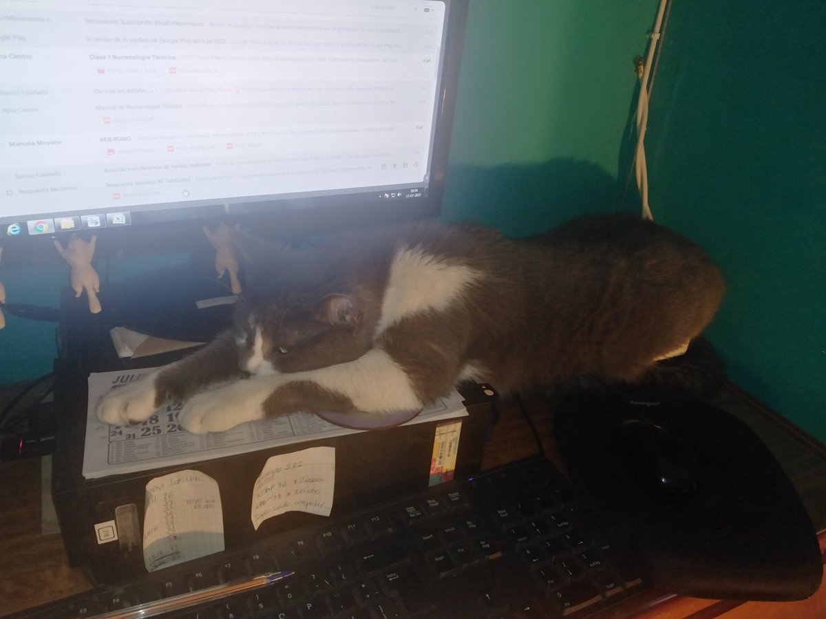 mmoyanoo's tweet photo. @ThalizTH Siii 😻lo contrato como a mi supervisor Panchito 😻 https://t.co/vPf7q5HATK
