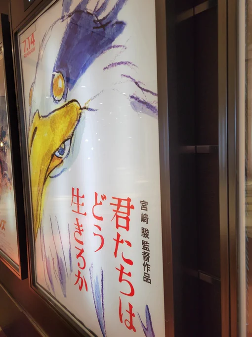 観ます