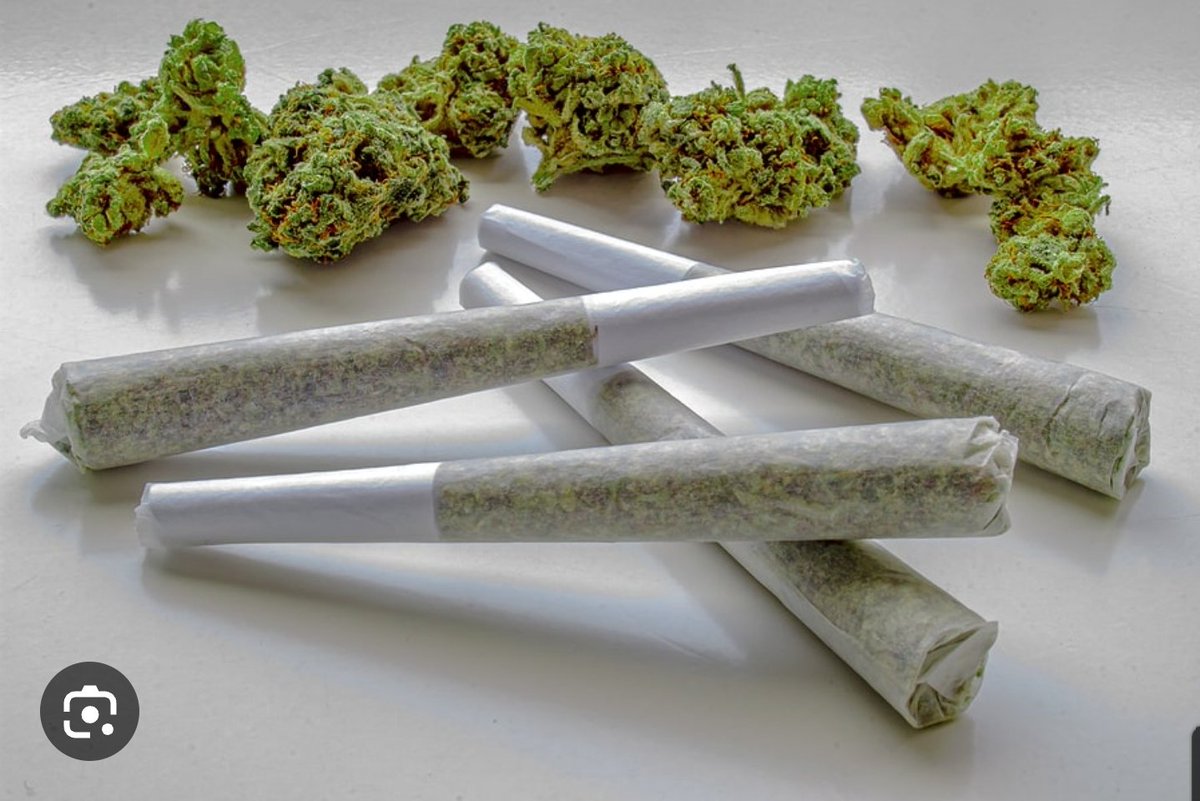 Green Avenger Seeds tweet media