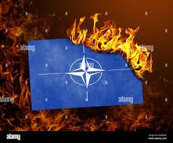 icepecirov's tweet photo. @GunterFehlinger Better pic  #deathtonato #deathtousa #deathtoEu https://t.co/FDznto998V