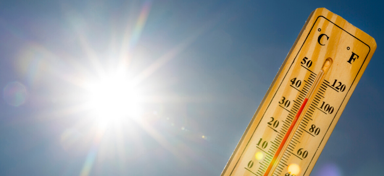 SacCountyCA's tweet photo. Due to high daytime temperatures, Sacramento County is activating three cooling centers. The centers will be operating through Sunday, July 16.
Learn more: https://t.co/x3QPm0iyud https://t.co/J5QjJB5r6C