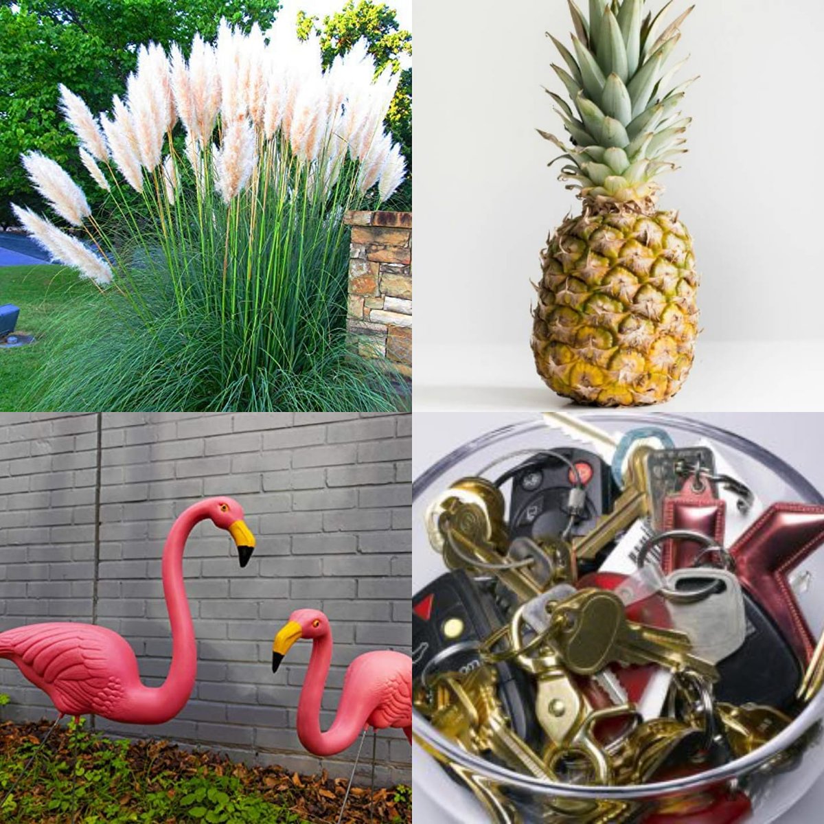 Steffen Peddie on Twitter "Last night on the show we discussed if you