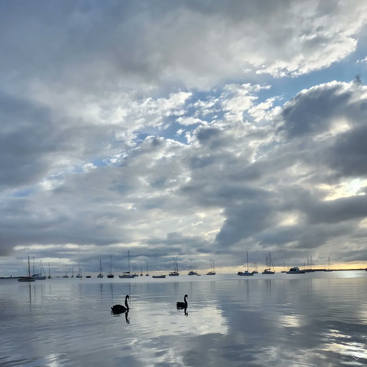 Bec72Aust's tweet photo. #FourSpecialPics Why these four? Morning walks together started last year
Husband quit smoking
Walking was his idea & gave me the opportunity to take photos of our bay & just hang out
I absolutely love that such an expanse can be still & reflective
#CorioBay @DavidMariposa1 https://t.co/soAofWBOH6