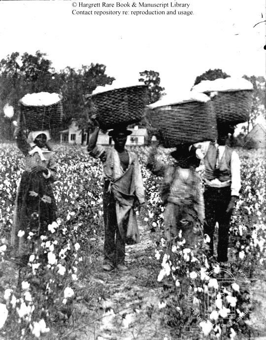 AncestorsMatter's tweet image. Yeah, well, I love how White people are starting to turn on their own. Maybe they will relate to what the Black community has been enduring since slavery.

2023 and it's known cops stop us 6x more, and pay us grossly less #BlackTwitter

@frandrescher 
#ActorStrike 
#ActorsStrike