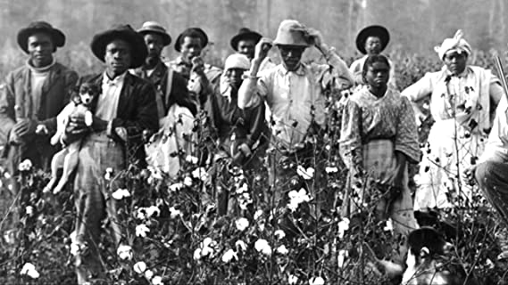 AncestorsMatter's tweet image. Yeah, well, I love how White people are starting to turn on their own. Maybe they will relate to what the Black community has been enduring since slavery.

2023 and it's known cops stop us 6x more, and pay us grossly less #BlackTwitter

@frandrescher 
#ActorStrike 
#ActorsStrike