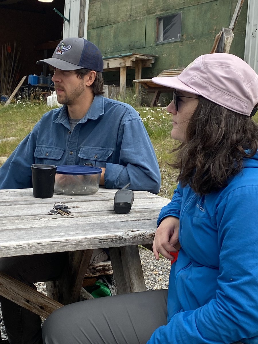 Doerthe Tetzlaff tweet media