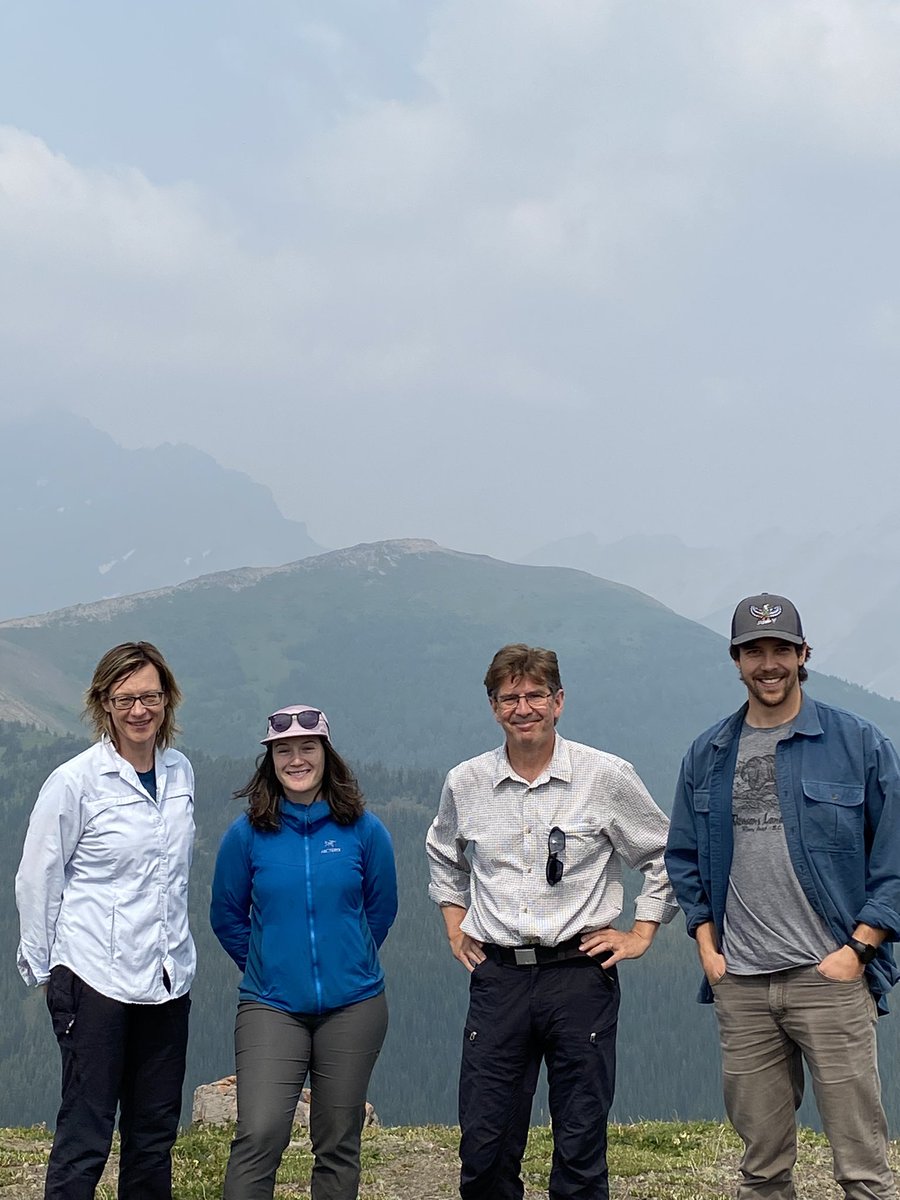 Doerthe Tetzlaff tweet media