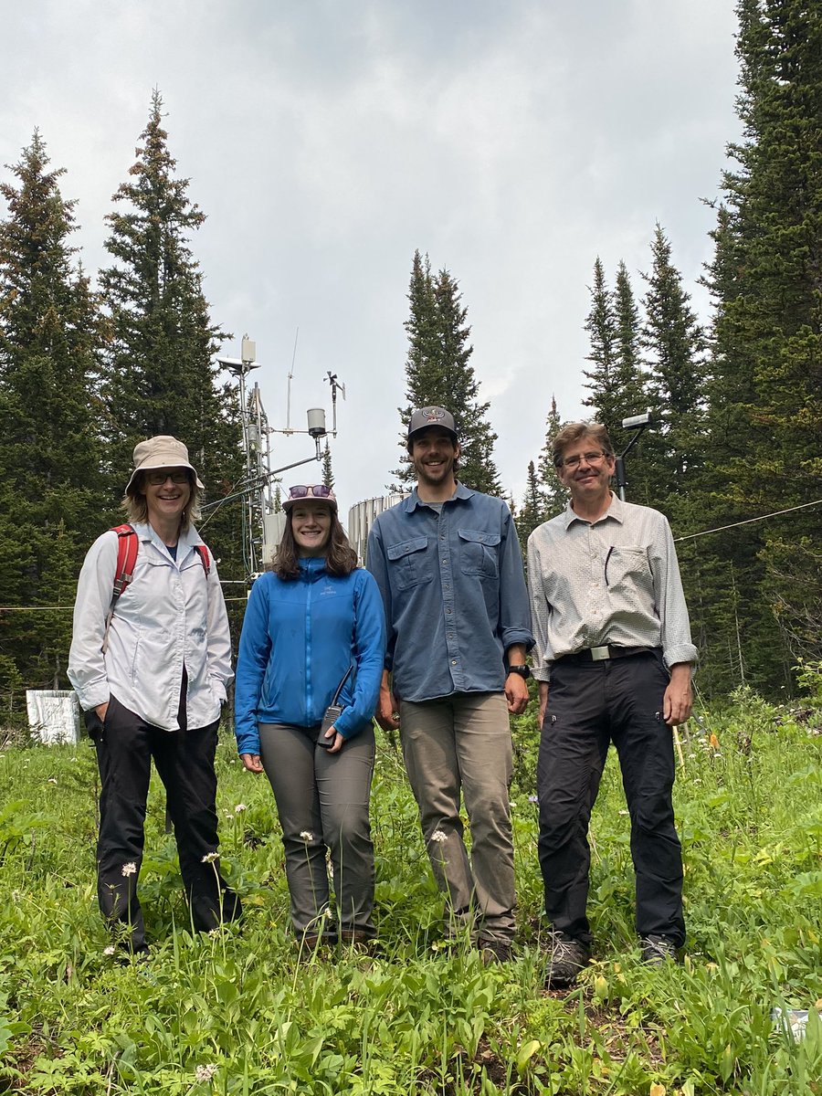 Doerthe Tetzlaff tweet media